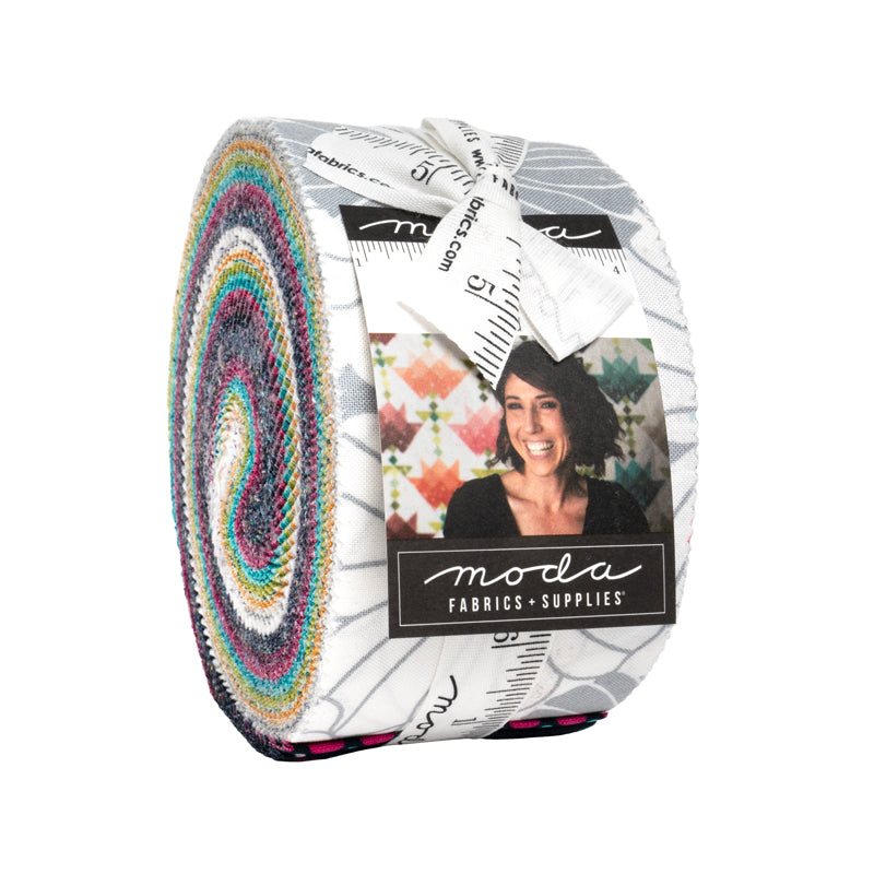COLOR CRUSH 2.5-Inch Jelly Roll Precuts by V and Co. Vanessa Christenson