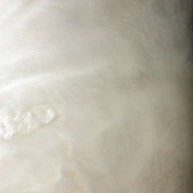Luxury Faux Fur - White
