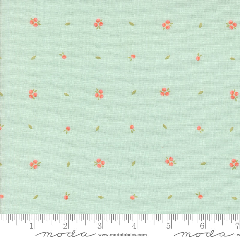 Abloom Robins Egg Little Sprout Yardage by Corey Yoder for Moda Fabrics