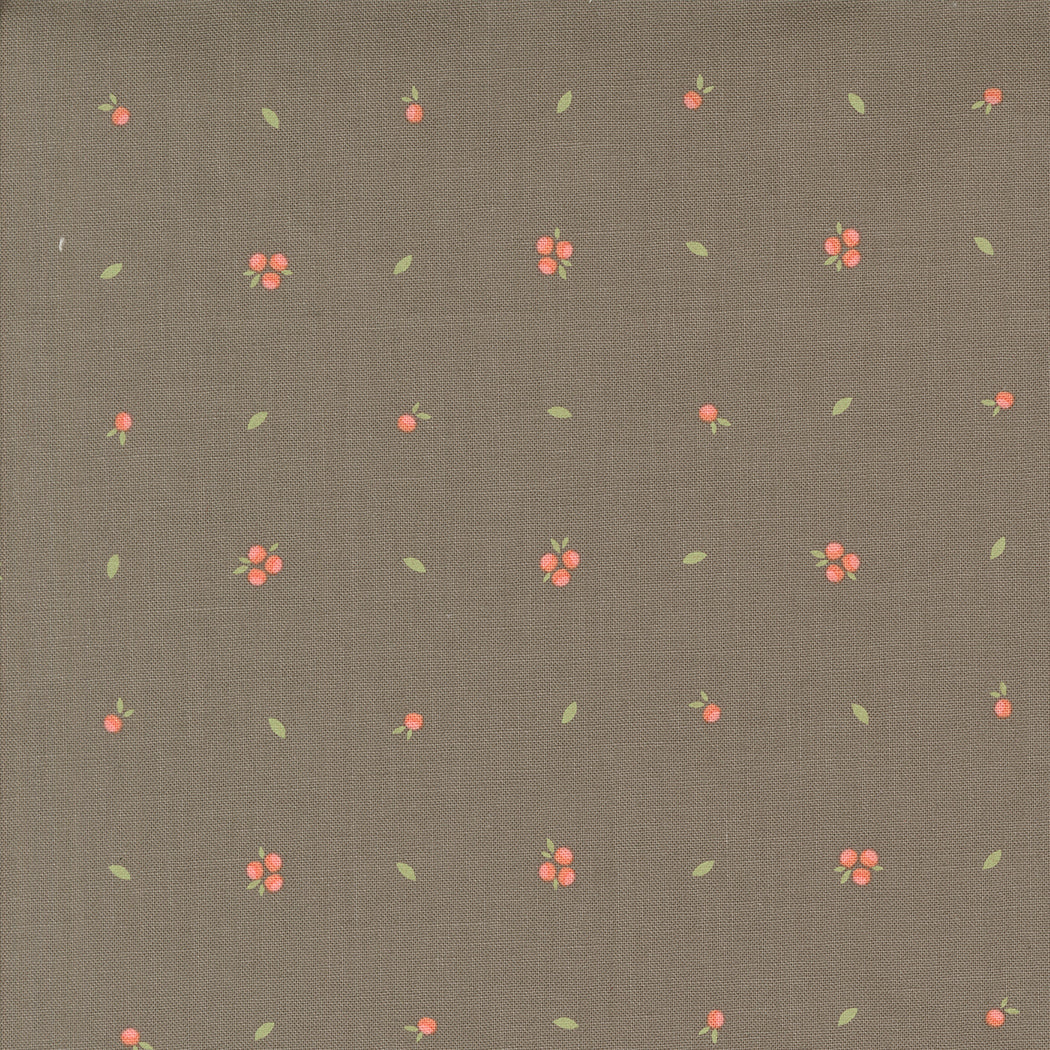 Abloom: SLATE LITTLE SPROUT Blenders Fabric (1/2 yd) by Corey Yoder