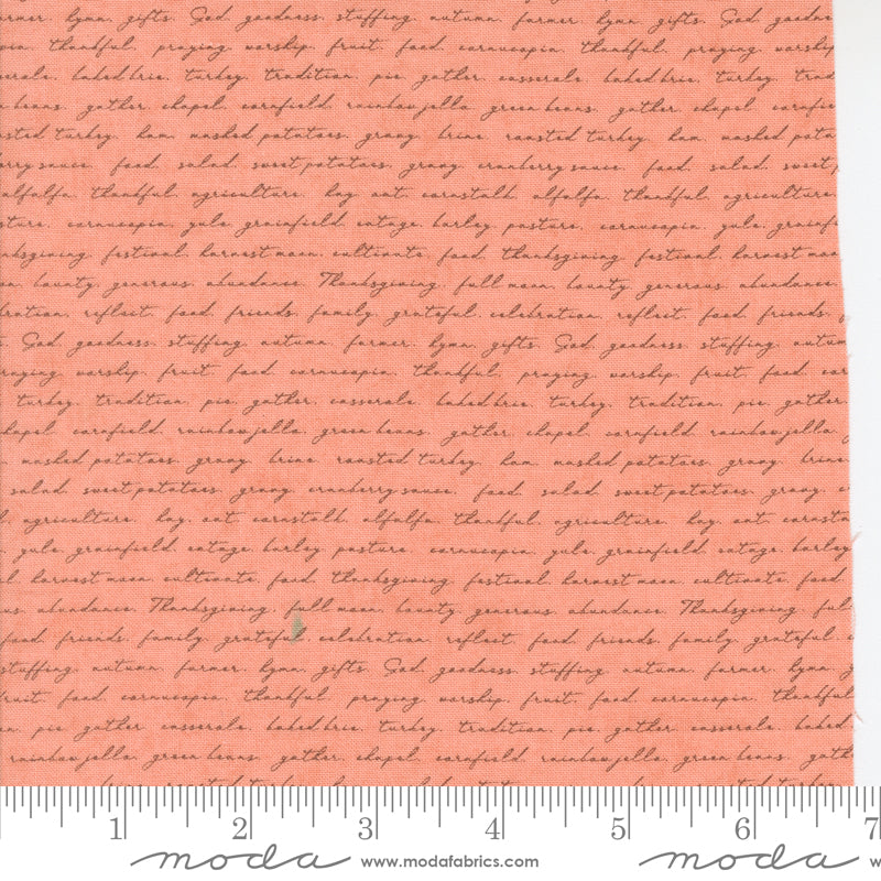 Acorn Hollow Apple Campfire Yardage by Basic Grey for Moda Fabrics