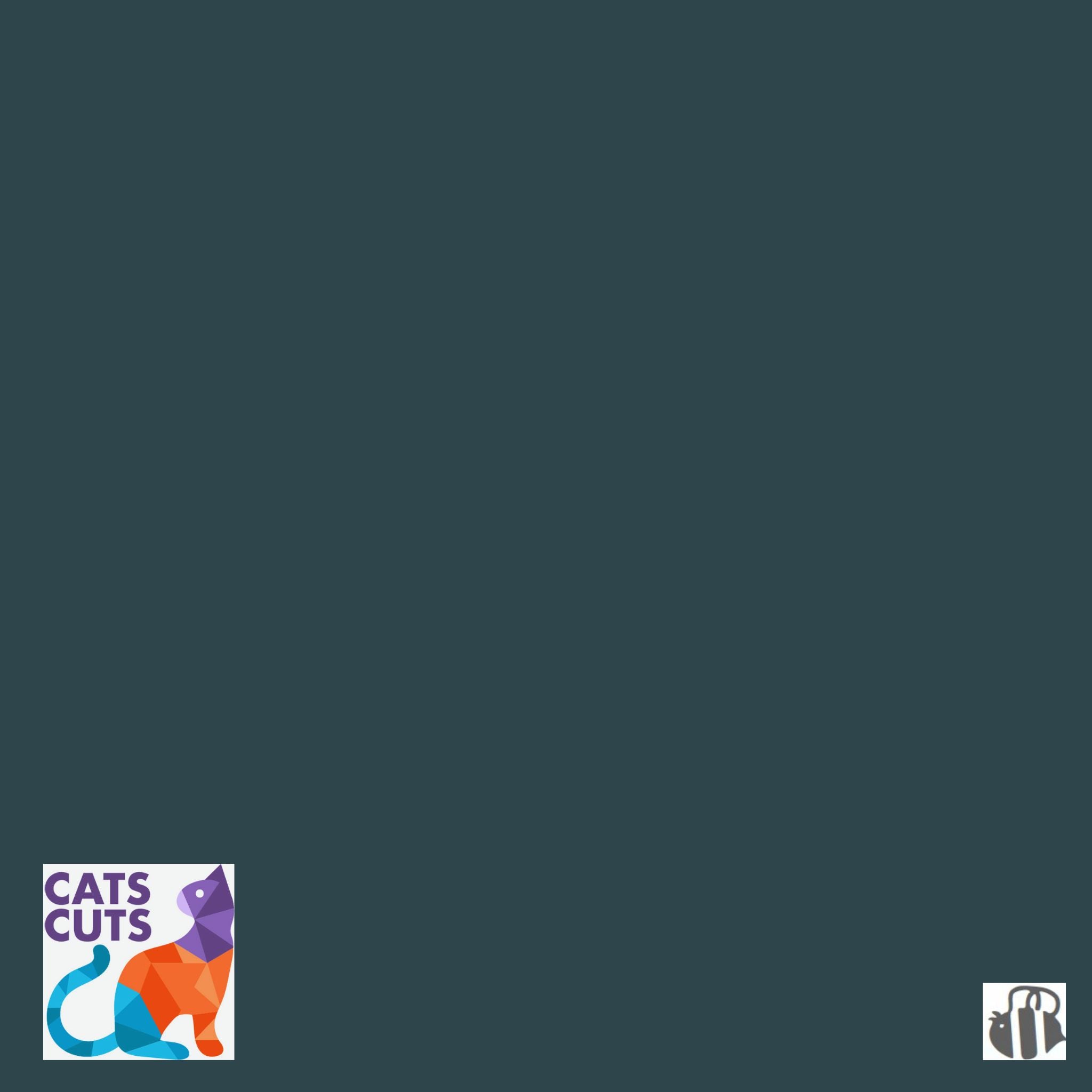 Riley Blake Confetti Cottons SKU: C120-BLACKBOARD