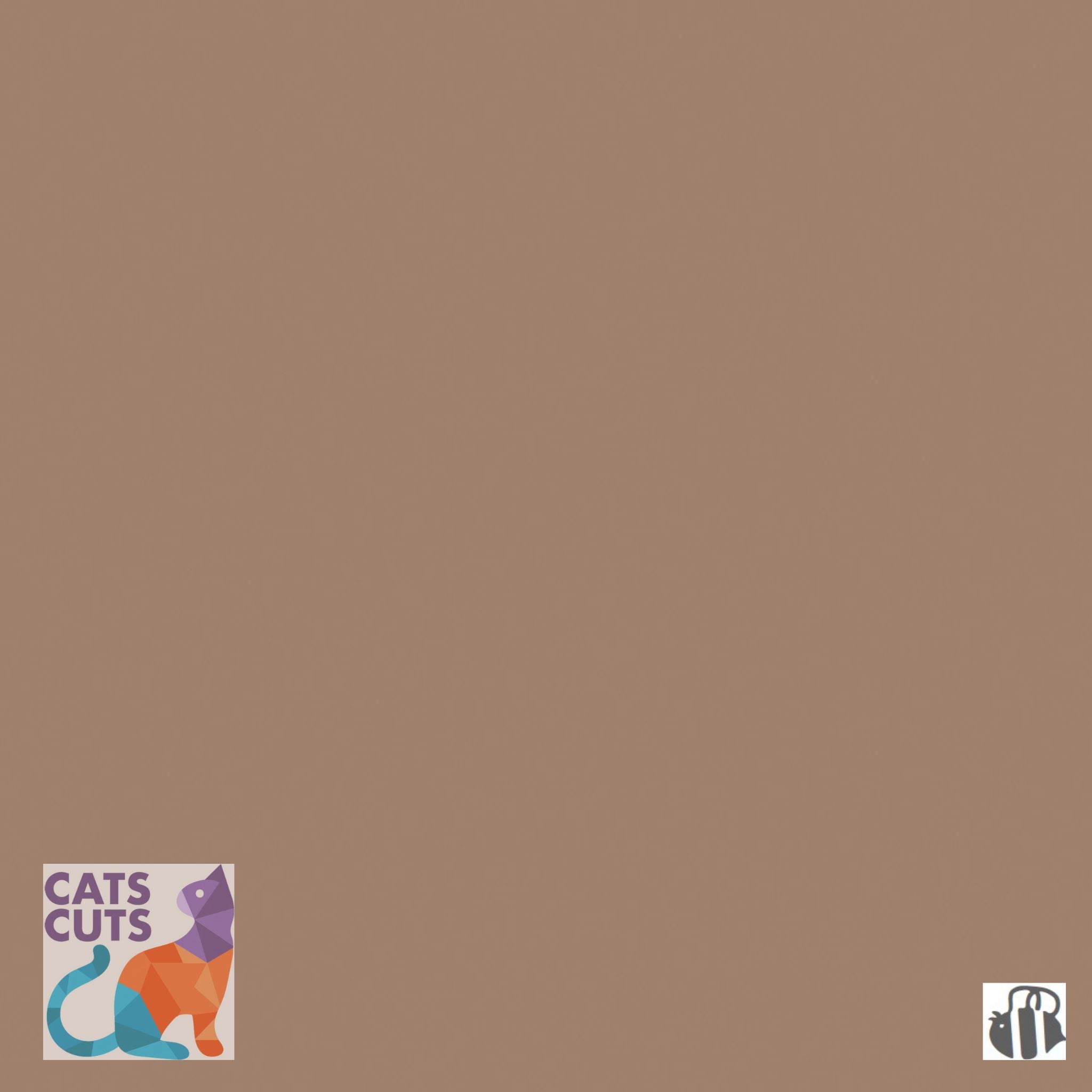 Riley Blake Confetti Cottons SKU: C120-BROWNSUGAR