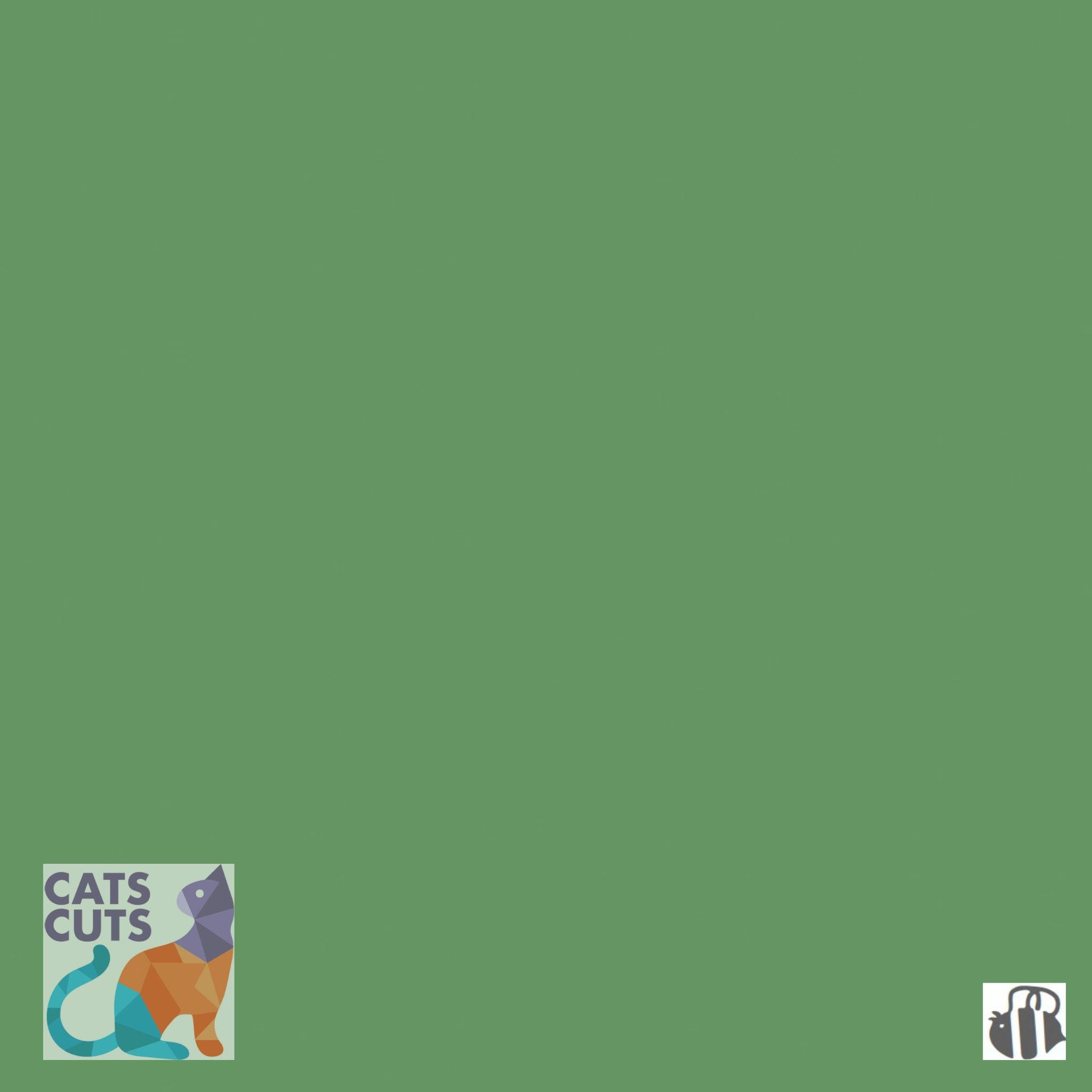 Riley Blake Confetti Cottons SKU: C120-CLOVER