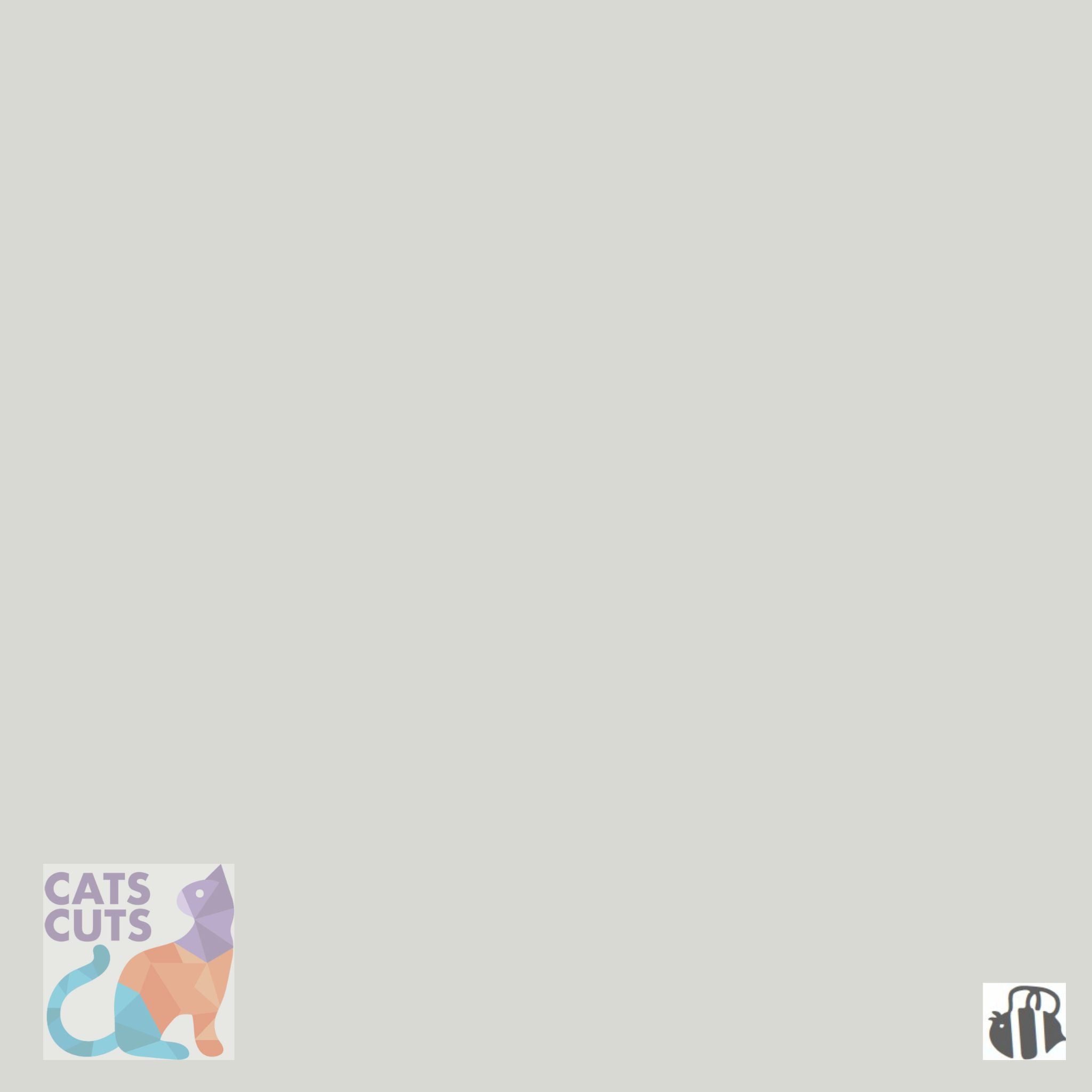 Riley Blake Confetti Cottons SKU: C120-ECHO