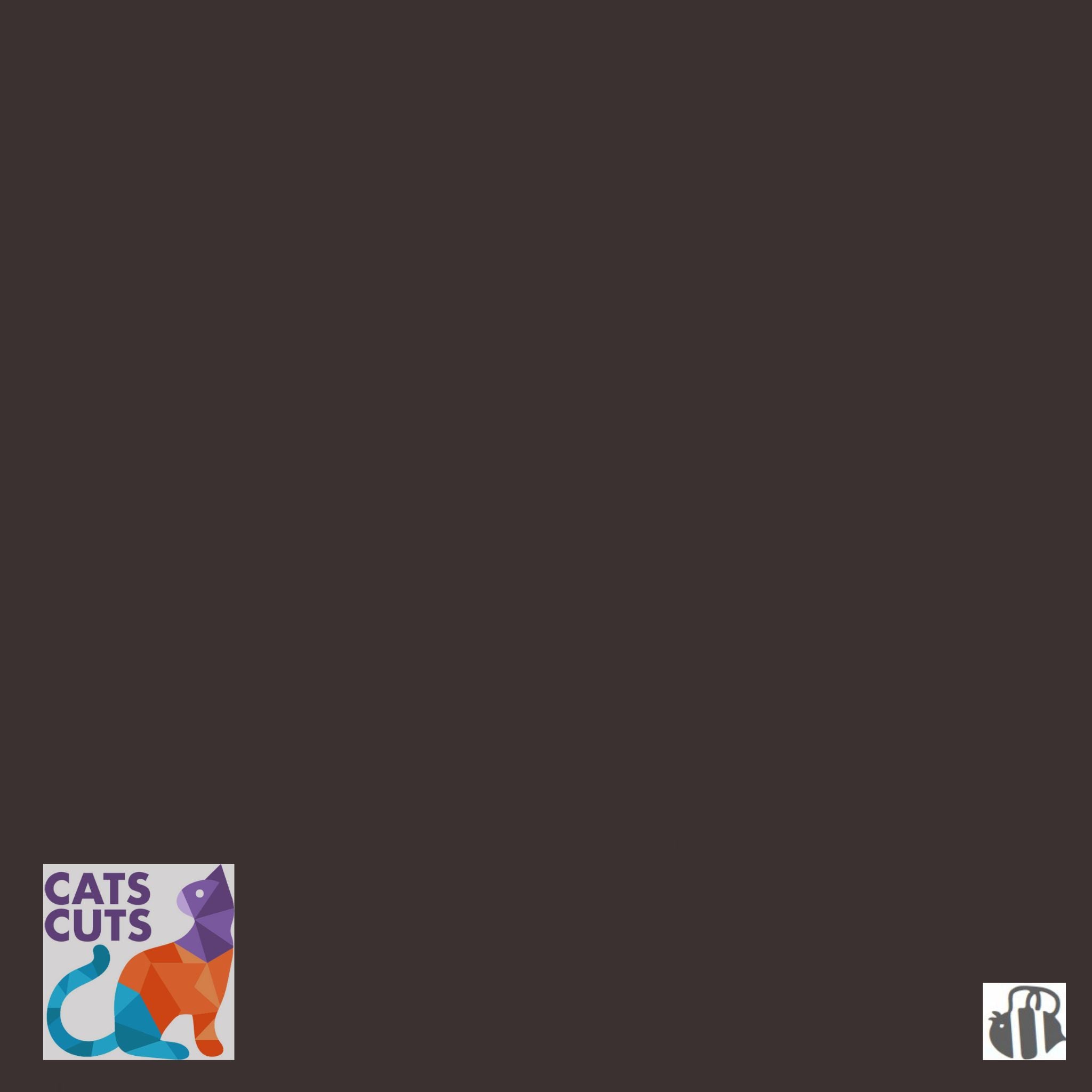 Riley Blake Confetti Cottons SKU: C120-ESPRESSO