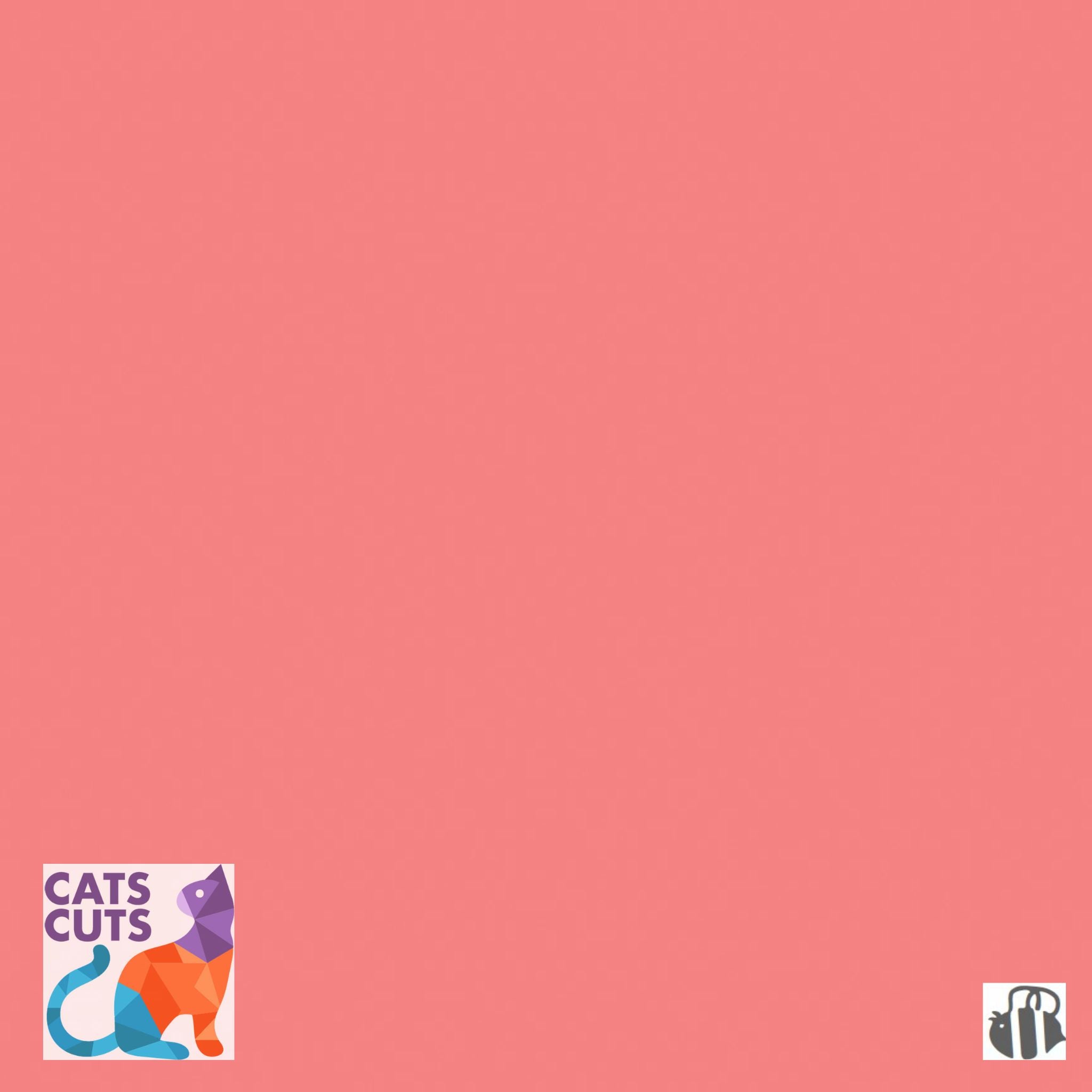 Riley Blake Confetti Cottons SKU: C120-LIPSTICK