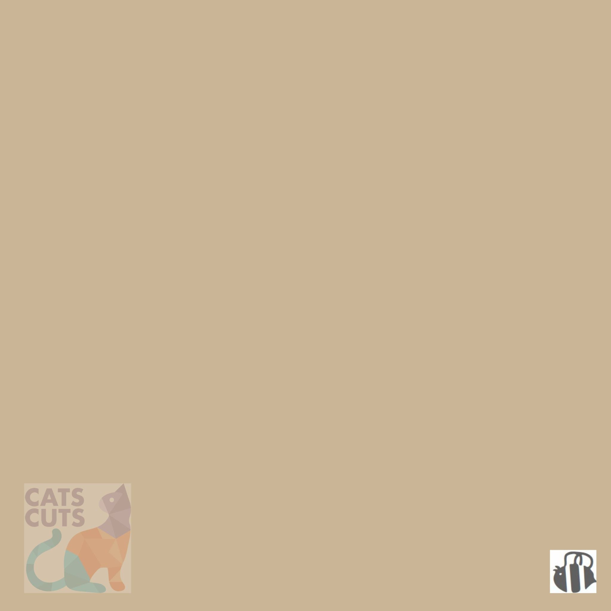 Riley Blake Confetti Cottons SKU: C120-PALOMINO