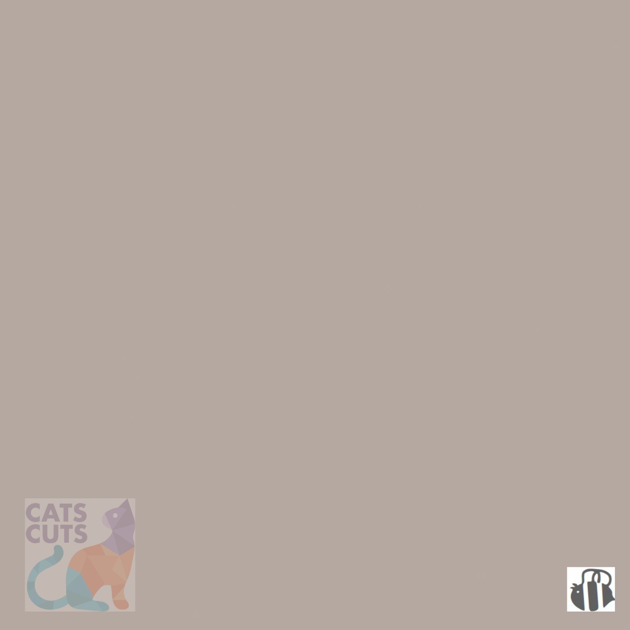 Riley Blake Confetti Cottons SKU: C120-PEWTER