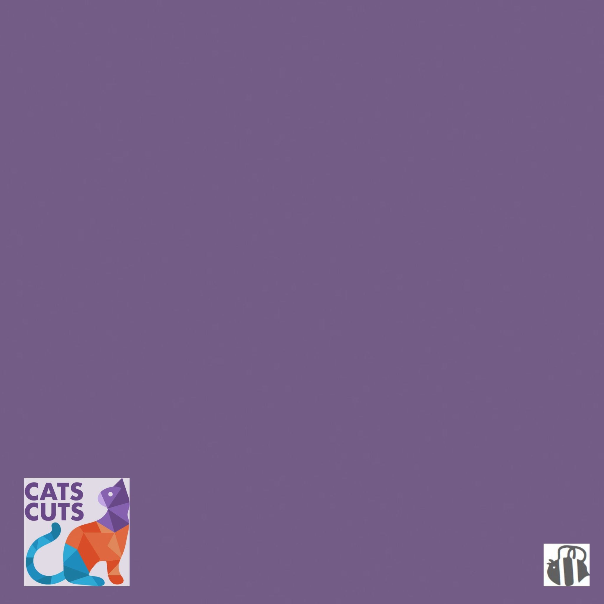 Riley Blake Confetti Cottons SKU: C120-PLUM