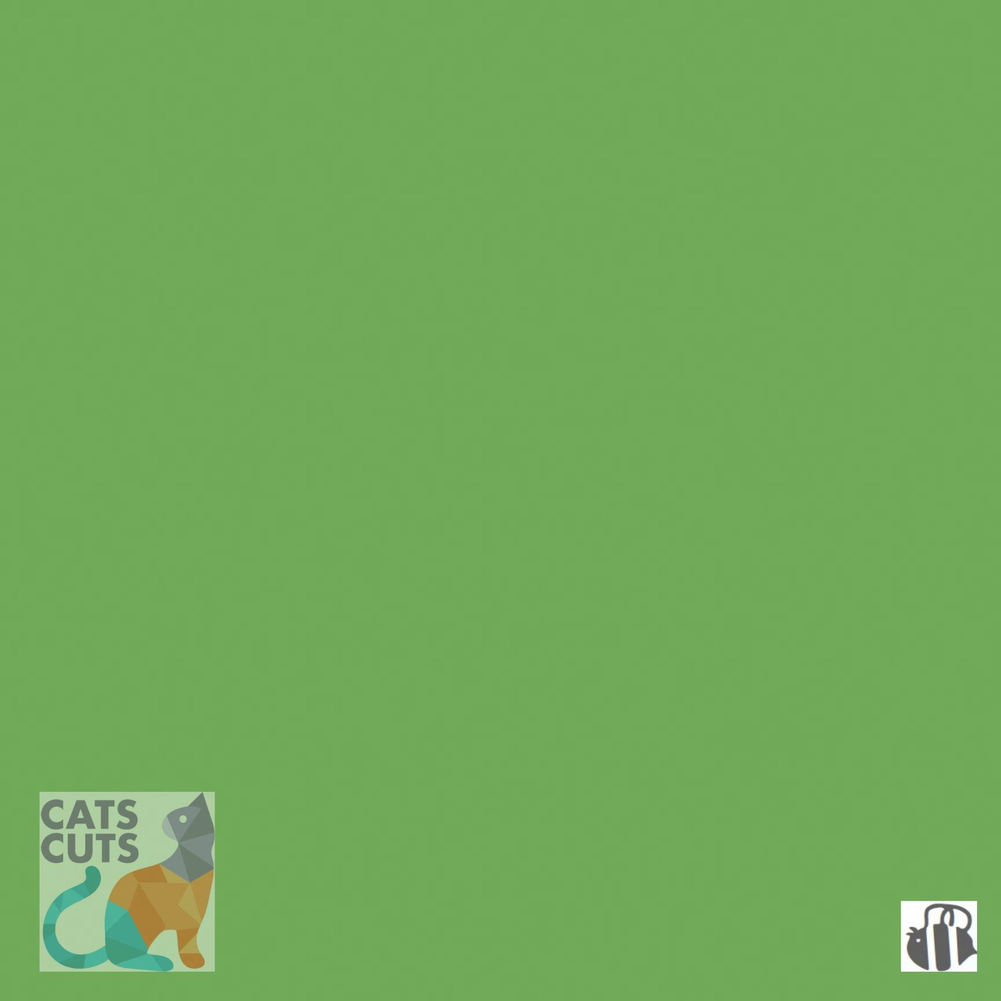 Riley Blake Confetti Cottons SKU: C120-RILEYGREEN