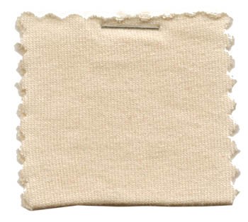 Wholesale Cotton Jersey Knit Fabric - Cream - 25 yards