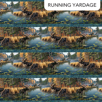 Autumn Woodland - Blue Multi Border Stripe DP28411-48 - Quilting Fabric