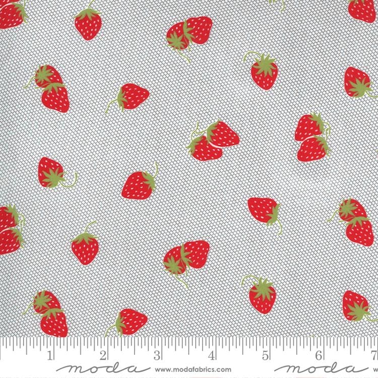 Sunday Stroll by Bonnie & Camille for Moda - Grey - strawberry clusters - 55223 17