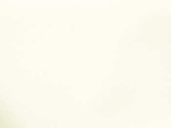 Marine Upholstery Vinyl- White