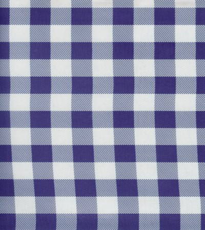 Oilcloth - Picnic Check - Blue