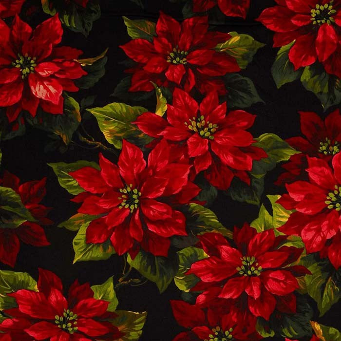 Scarlet Poinsettia 108in Wide Back fabric