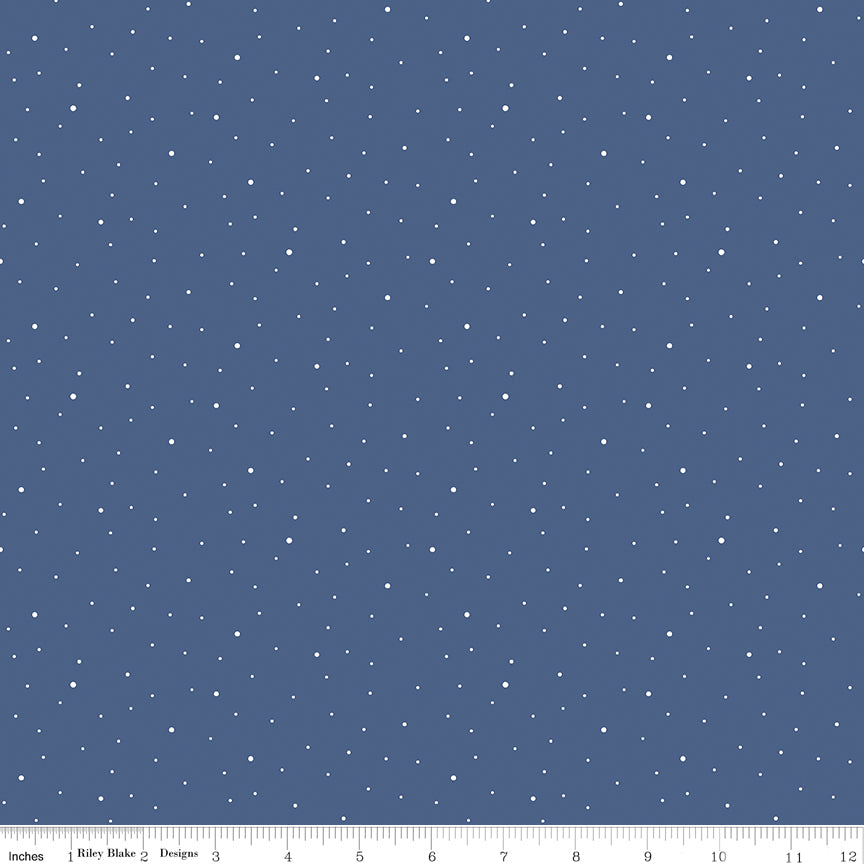 Dapple Dot Wide Quilt Backing Fabric for Riley Blake Designs WB640 - 2 Colorways
