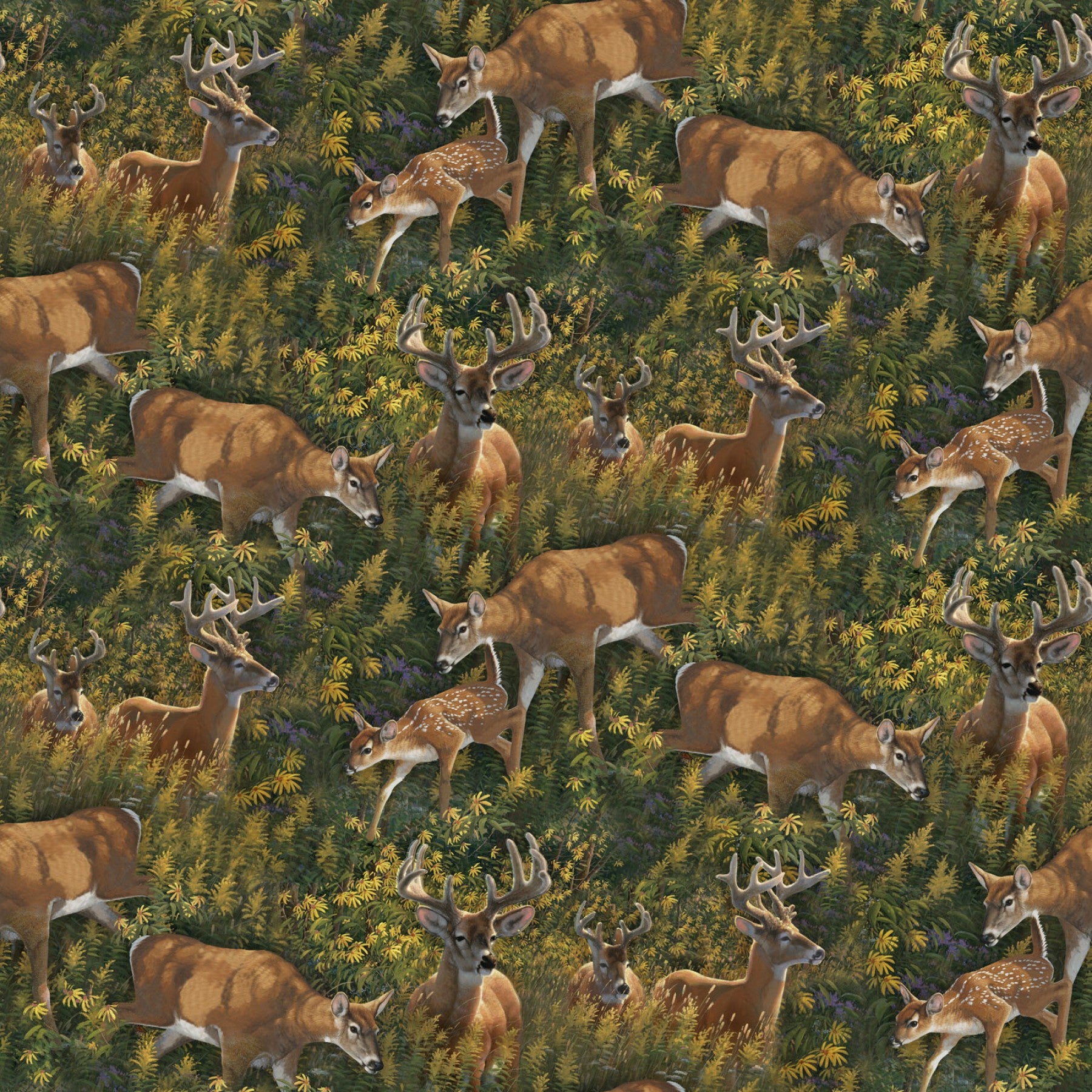 Wild Wings Feast the Valley Deer Coordinate Springs Creative Cotton Fabric SC-66447