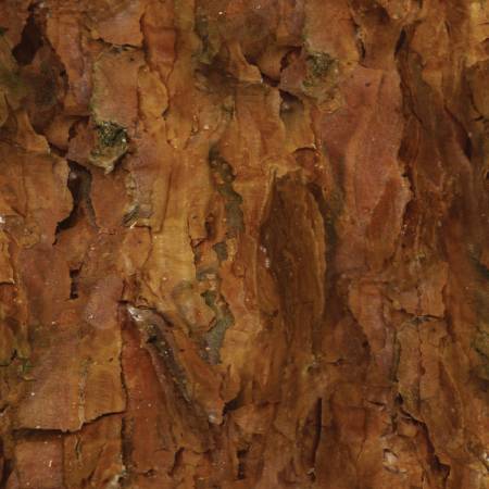 Wild Wings Independence Pass Granite Texture Brown Springs Creative Cotton SC-58334