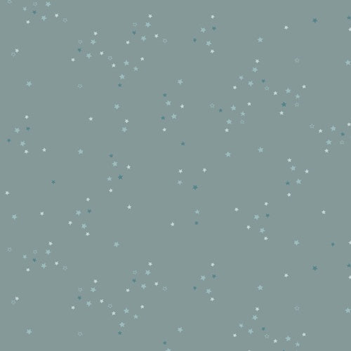 Twinkle Little Stars Sky fabric | Adventale collection ADV25907