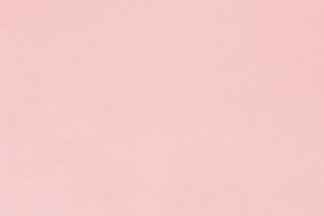 SOLID CUDDLE 3 - Extra Wide Minky: ROSEWATER (1 yd.) by Shannon Fabrics