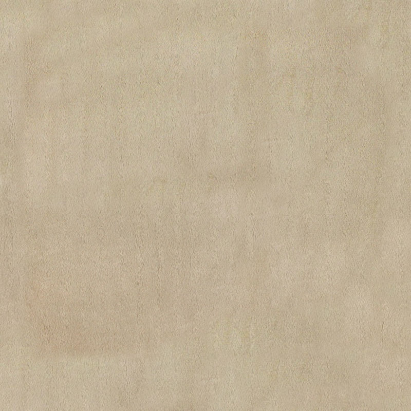 Cuddle Solids - Latte 60" Minky Yardage forShannon Fabrics