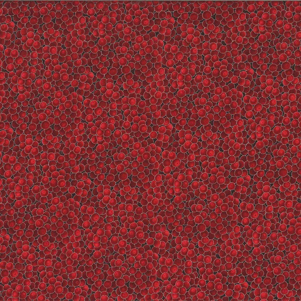 Winter Magic G8556 5S Red Silver fabric by Hoffman Fabrics
