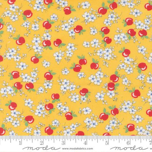 30's Playtime 2025 Sunshine fabric 23371 15