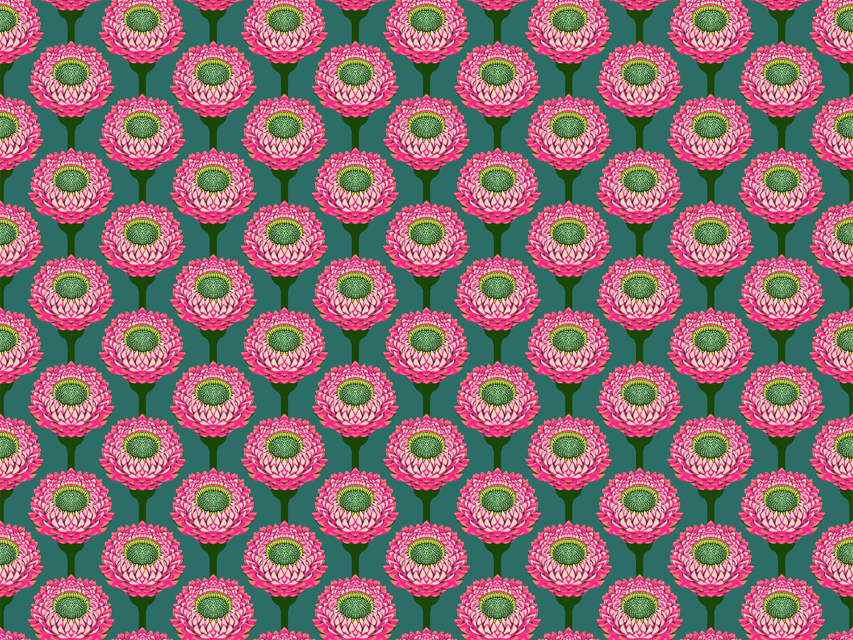 Iconic Bursting Strawflower Fabric - AMT123-28L