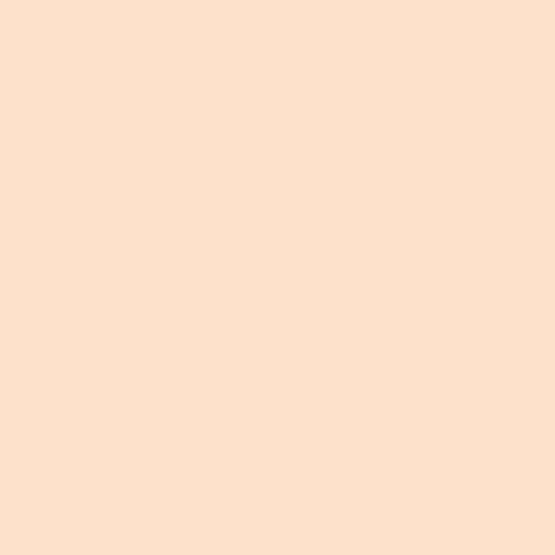 Pure Solids PE-471 Sweet Macademia - Fat Quarter