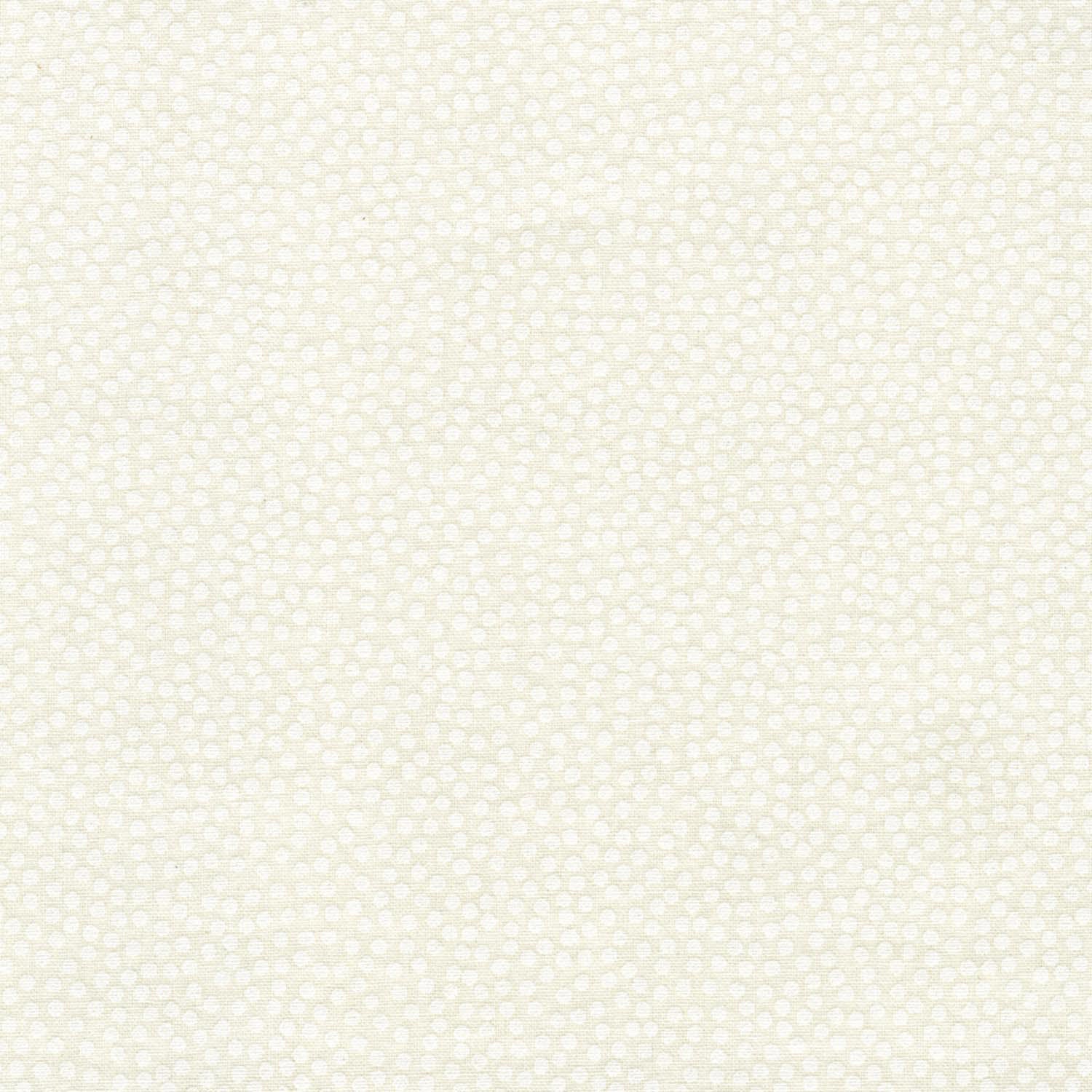 Ramblings 8 RAM8 735 W Dots